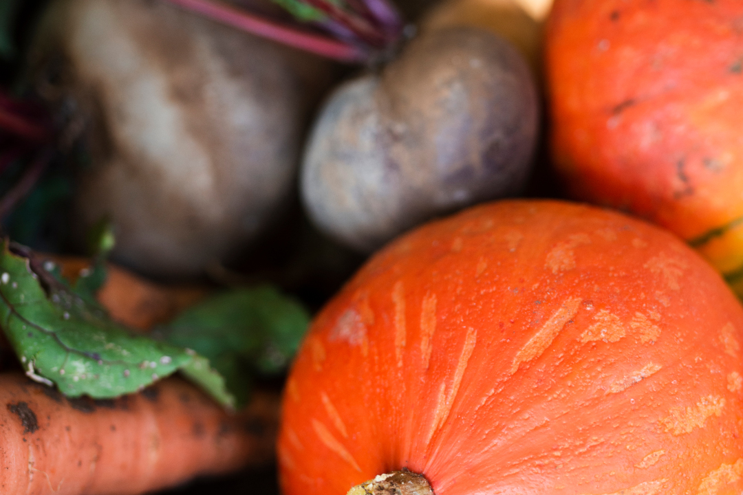 Explorando el invierno: una guía para las verduras, frutas y hortalizas de temporada